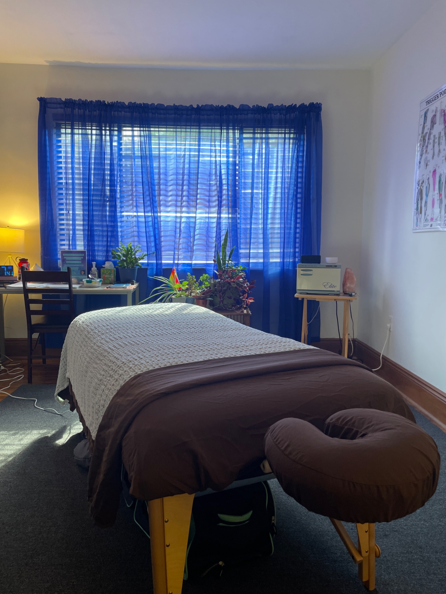 Terrapin Yoga & Wellness photo 1